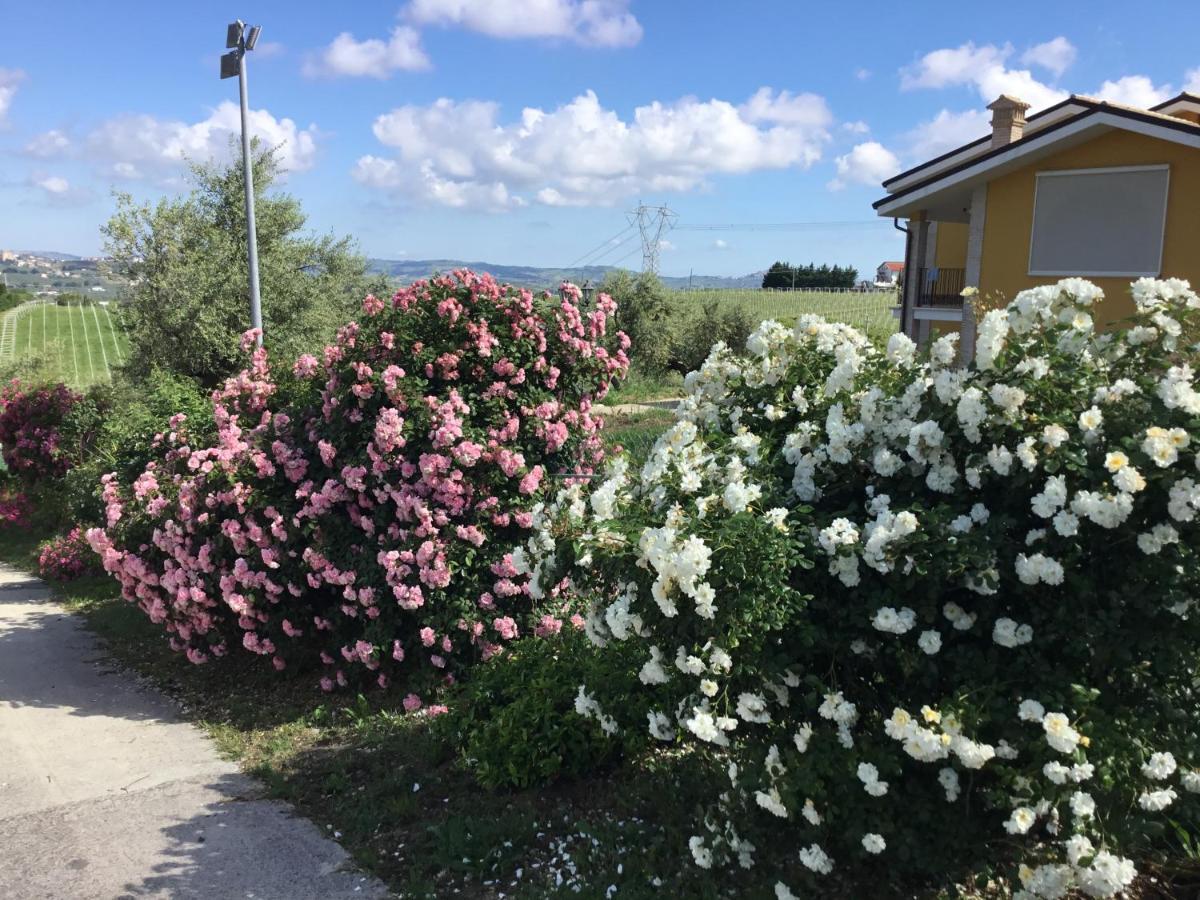Appartamento Sole Moscufo Exterior foto